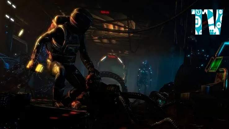 Soma Hakkında Korkunç Gerçekler - 2024