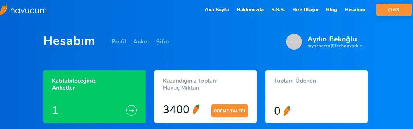 Anket Doldurarak Para Kazanma