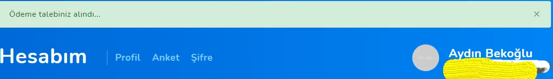 Online Anket Platformu