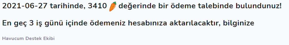 Online Anket Platformu