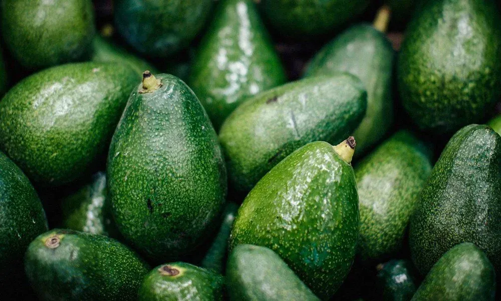 Avokado sağlıklı mı zararlı mı böbrek hastaları dikkat